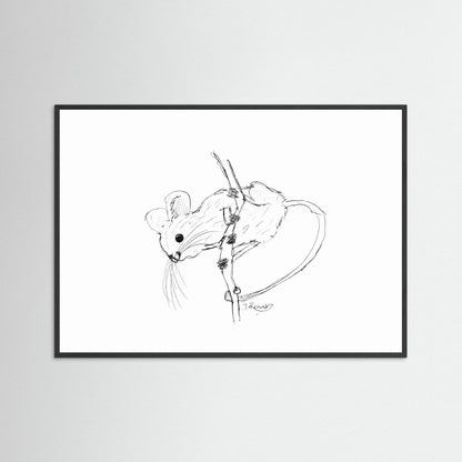 Harvest Mouse - no. 213