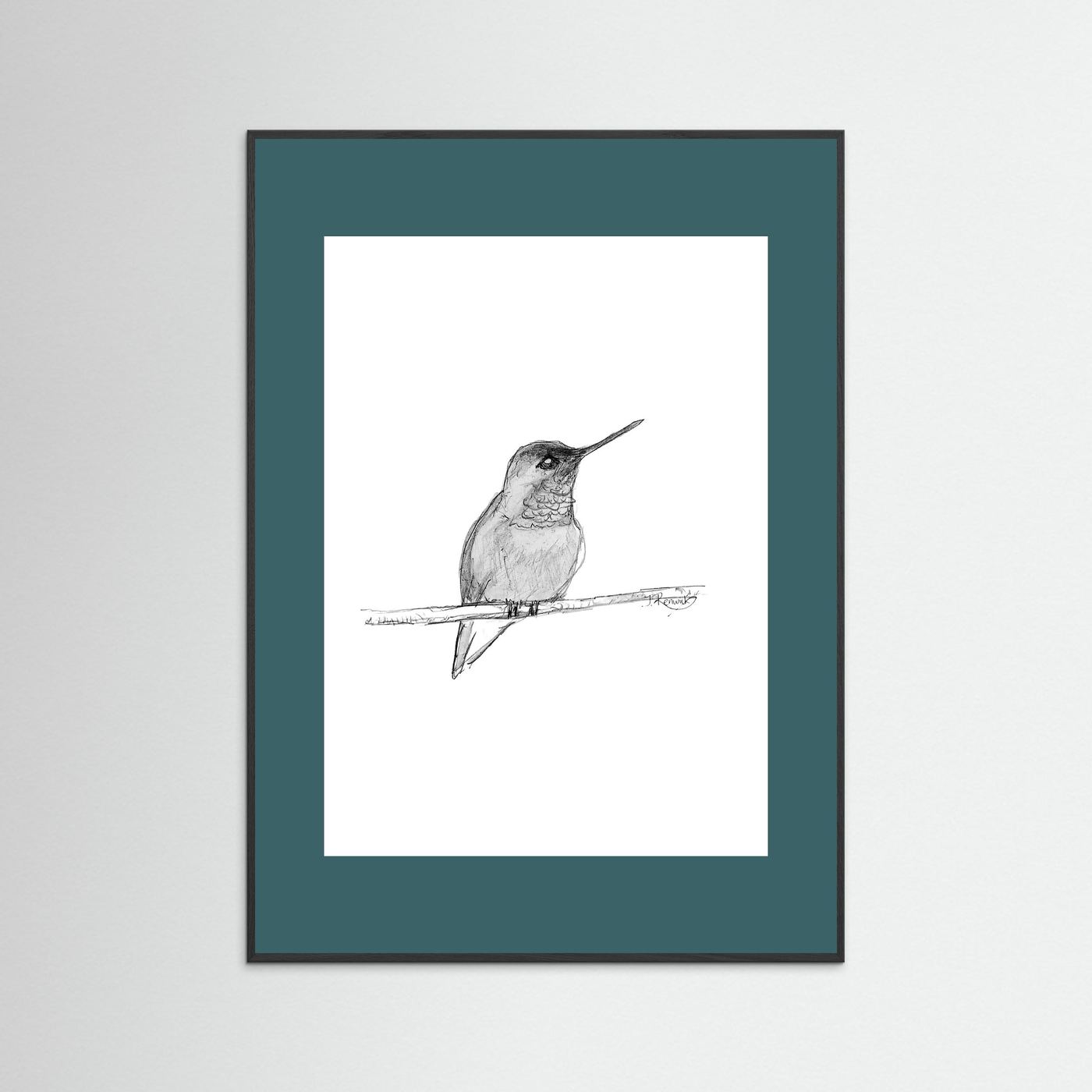 Hummingbird - no. 594
