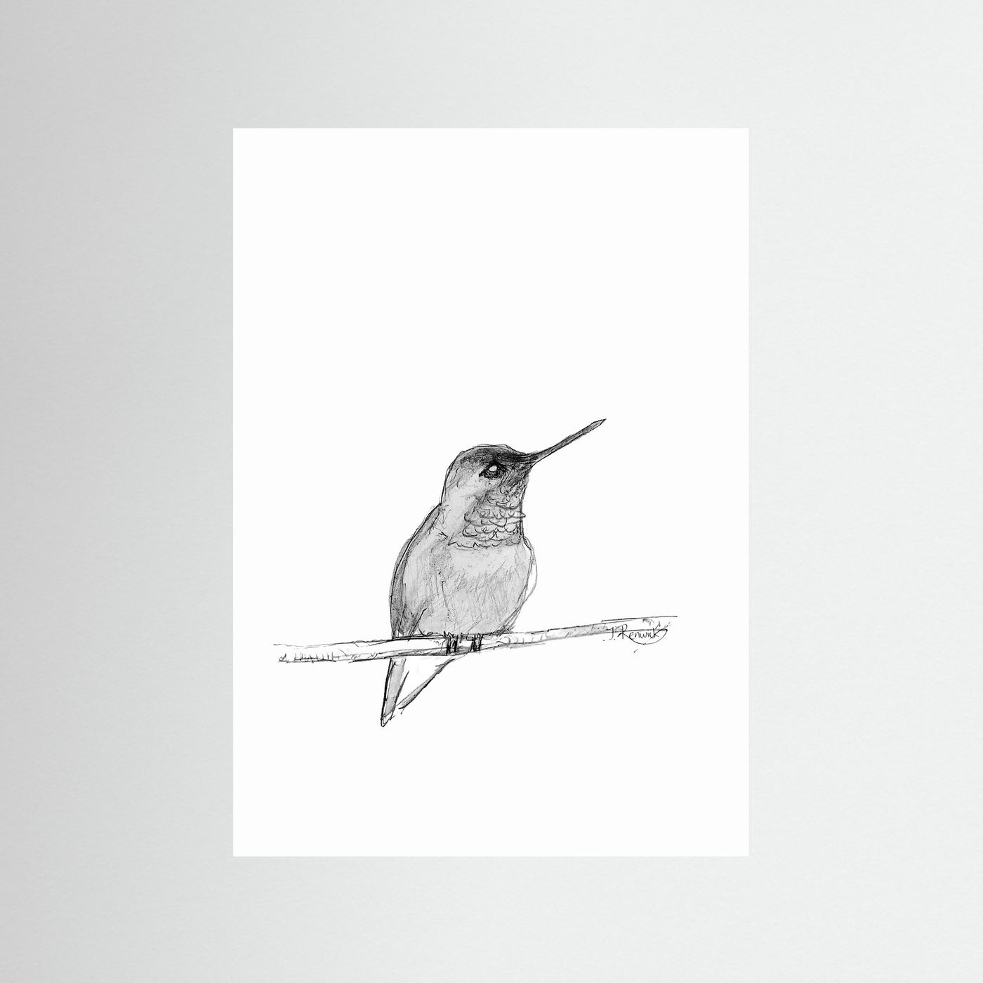 Hummingbird - no. 594