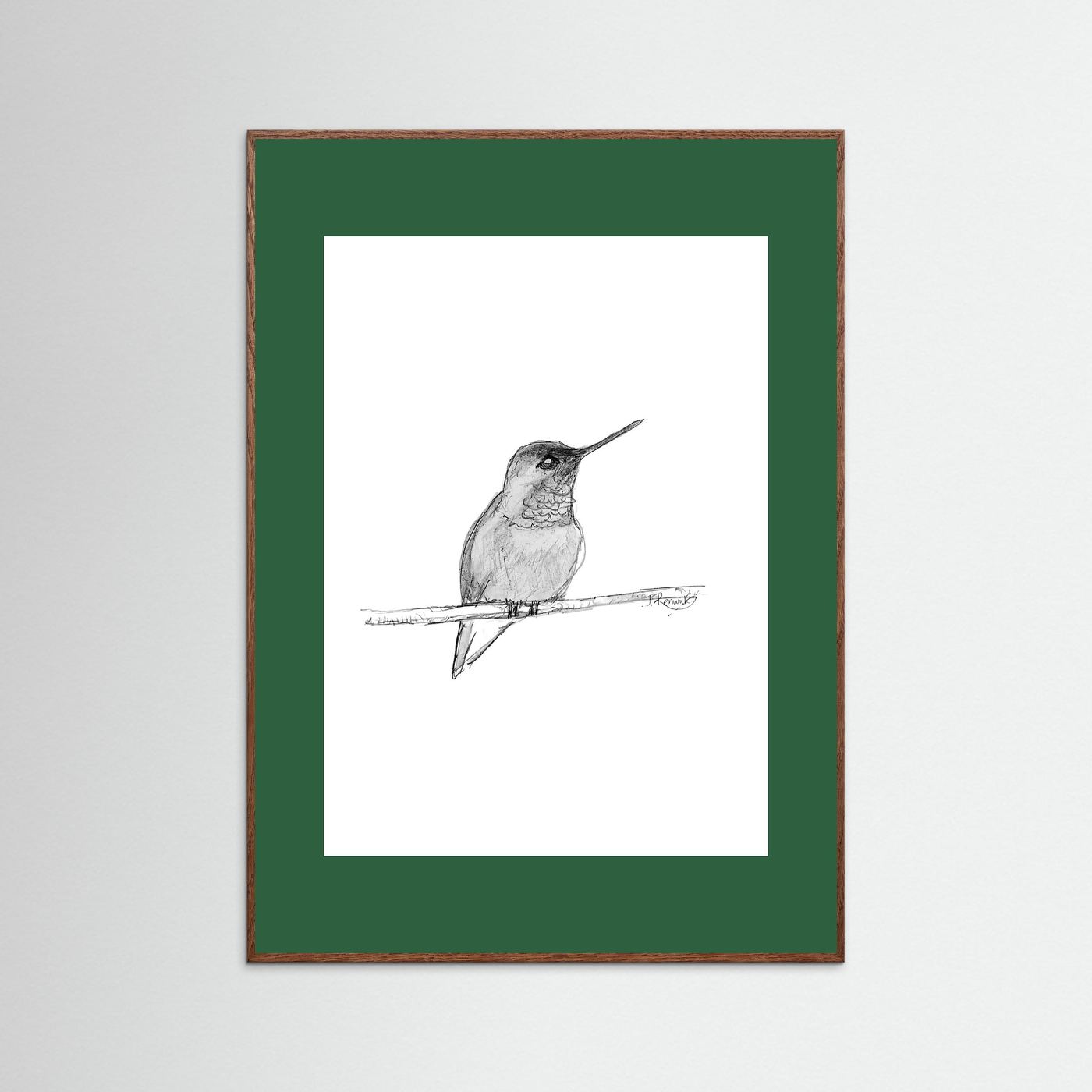 Hummingbird - no. 594