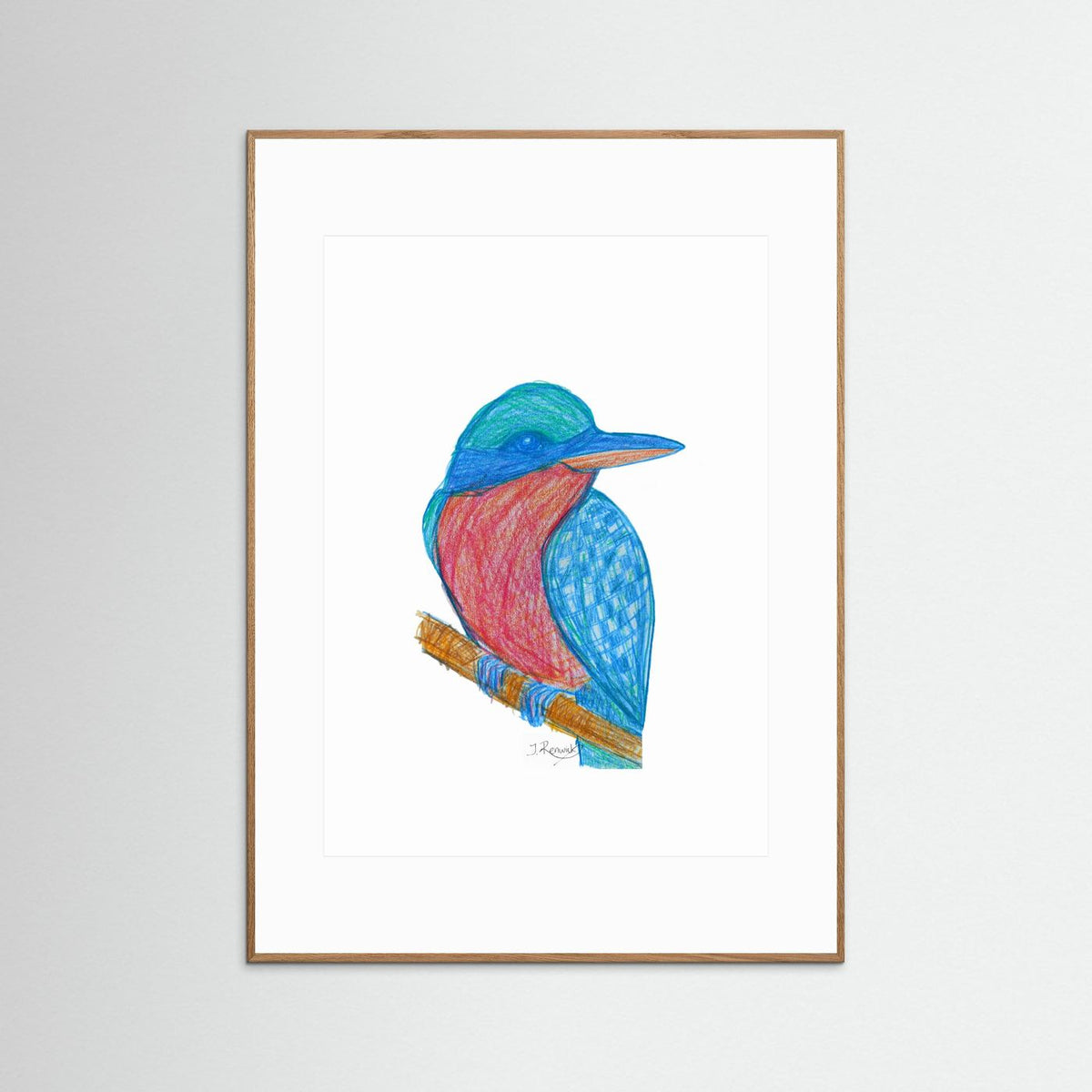 Illustrated Kookaburra - no. 784