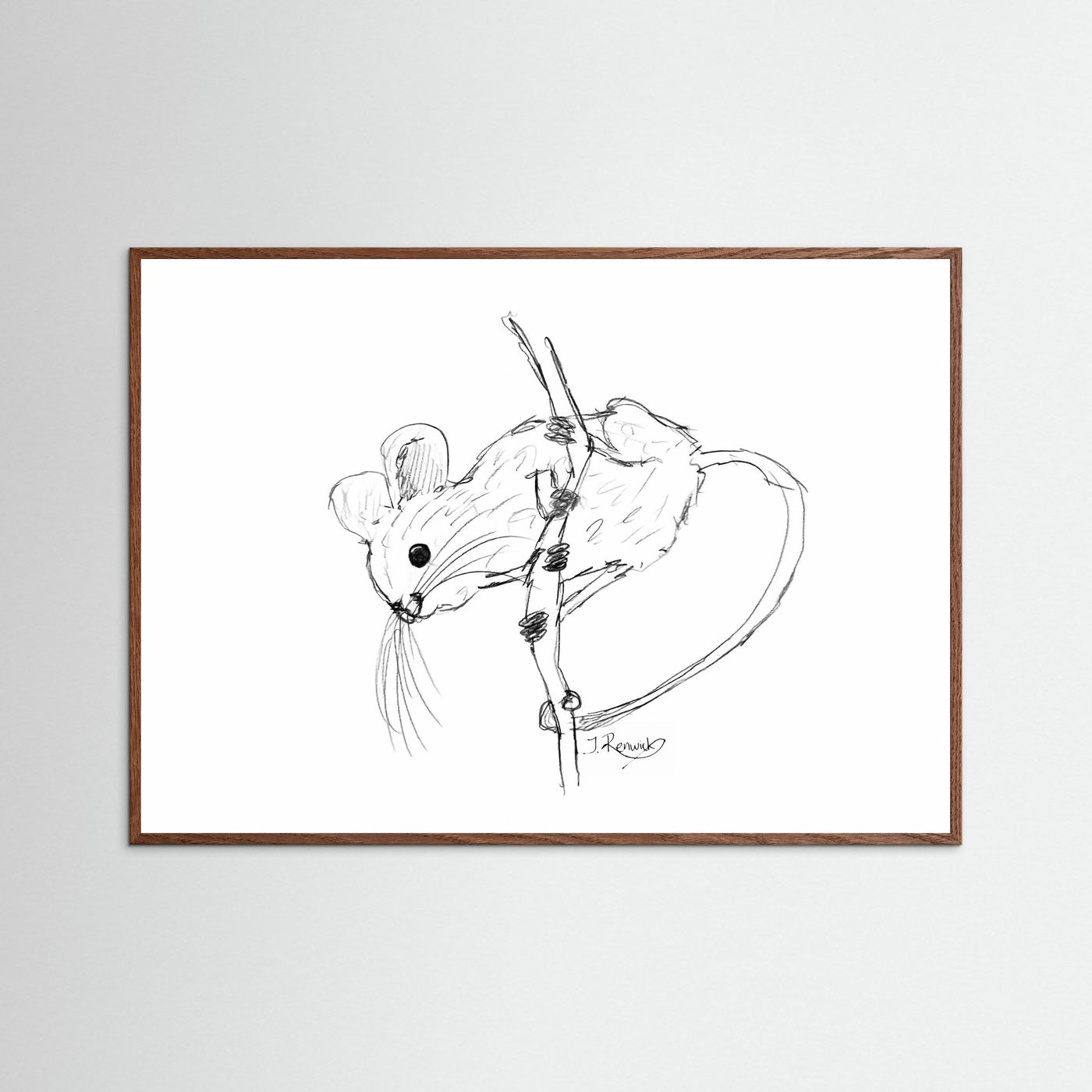 Harvest mouse - no. 213