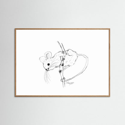 Harvest Mouse - no. 213