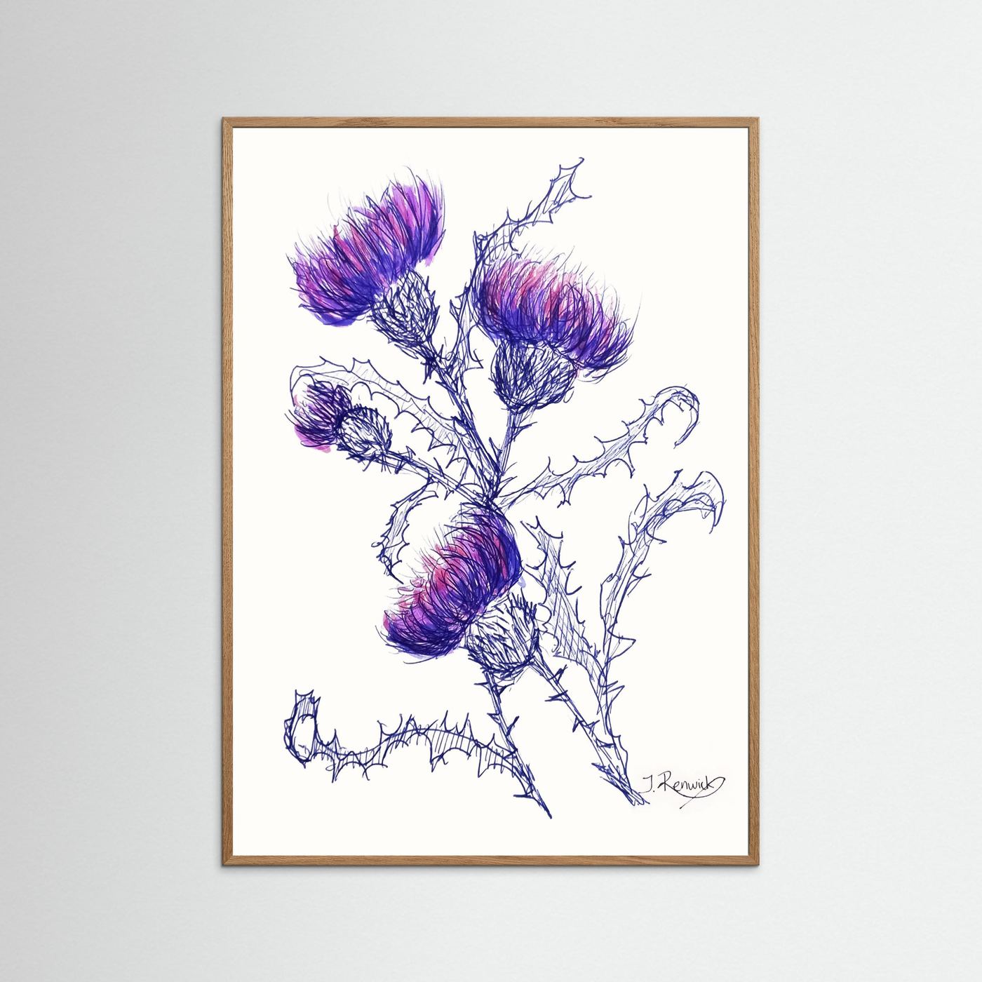 Thistles - no. 647