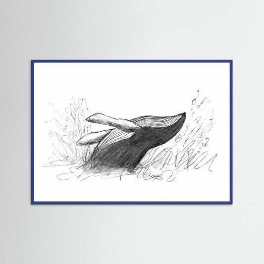 Whale Fluke - no. 538