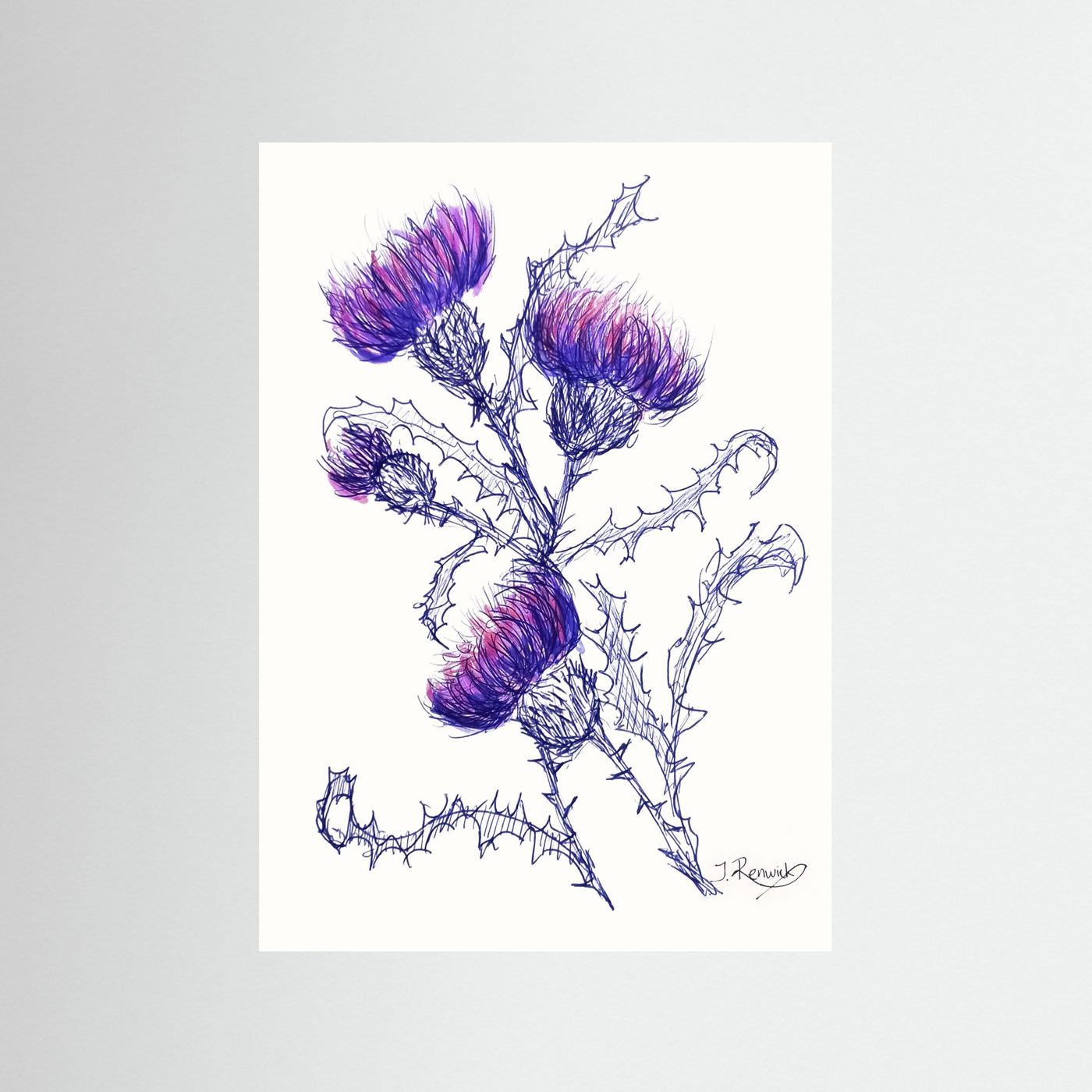 Thistles - no. 647