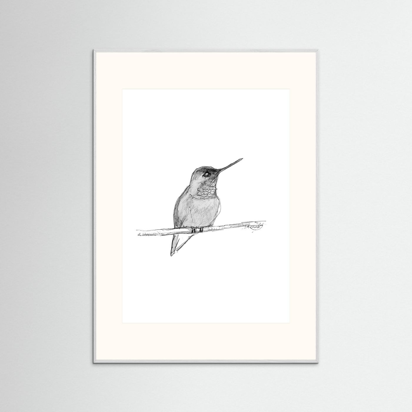 Hummingbird - no. 594