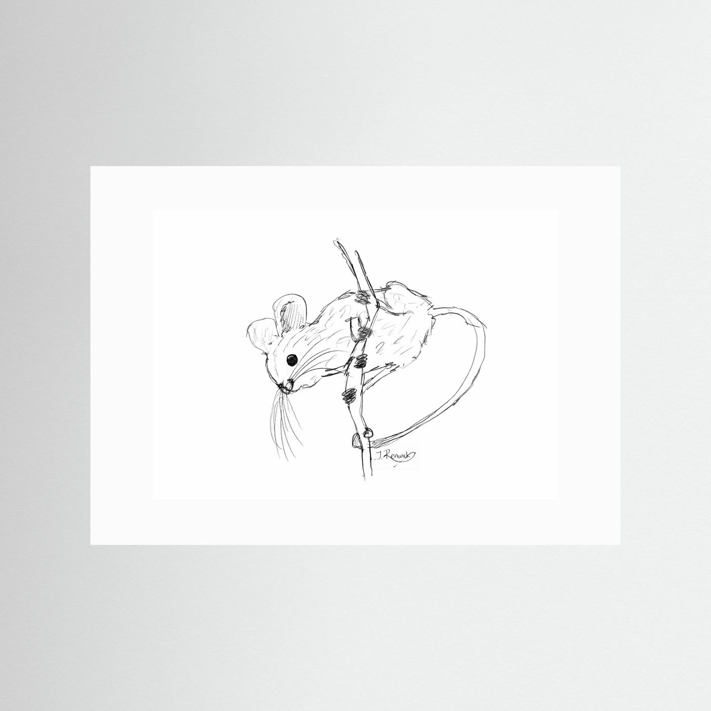 Harvest mouse - no. 213