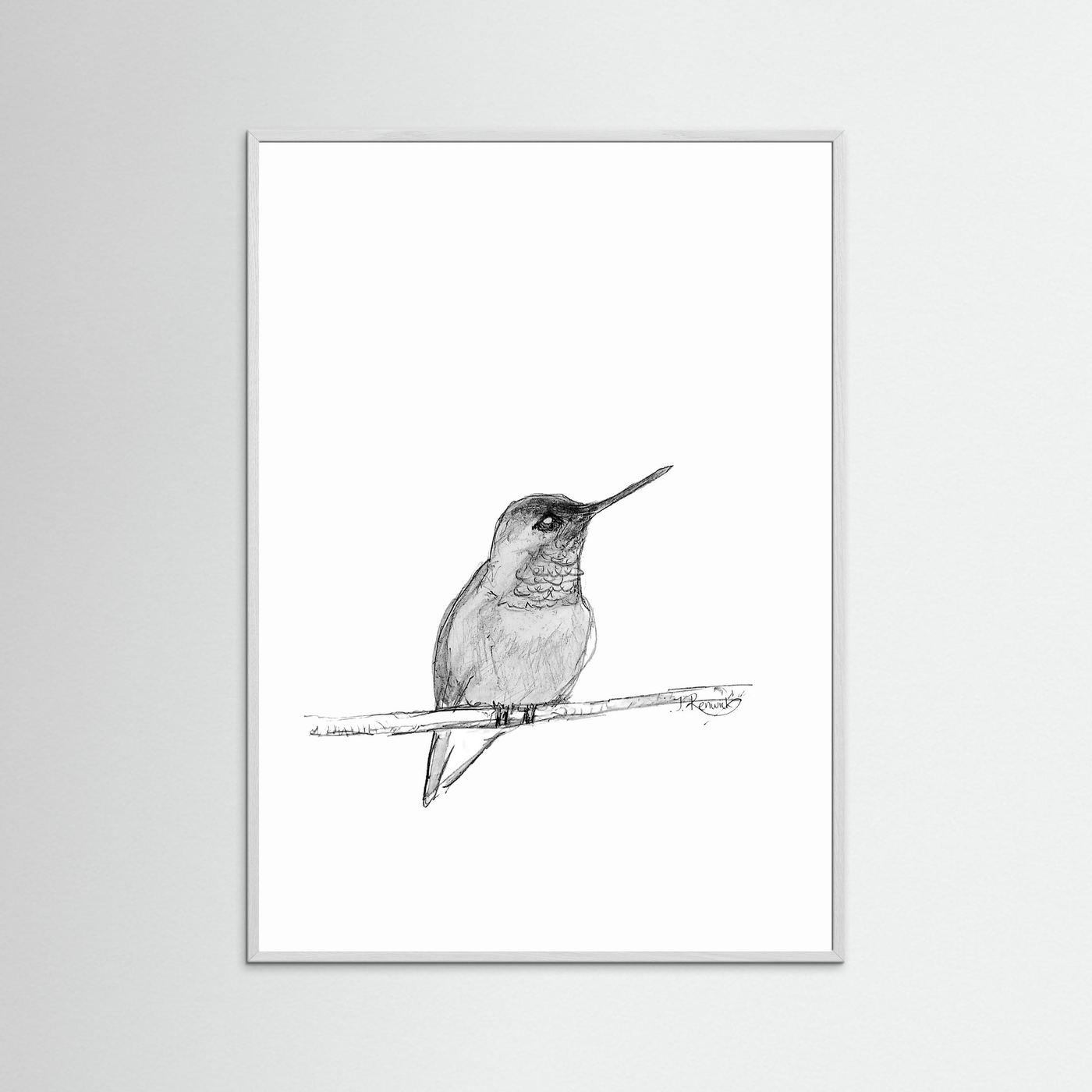 Hummingbird - no. 594
